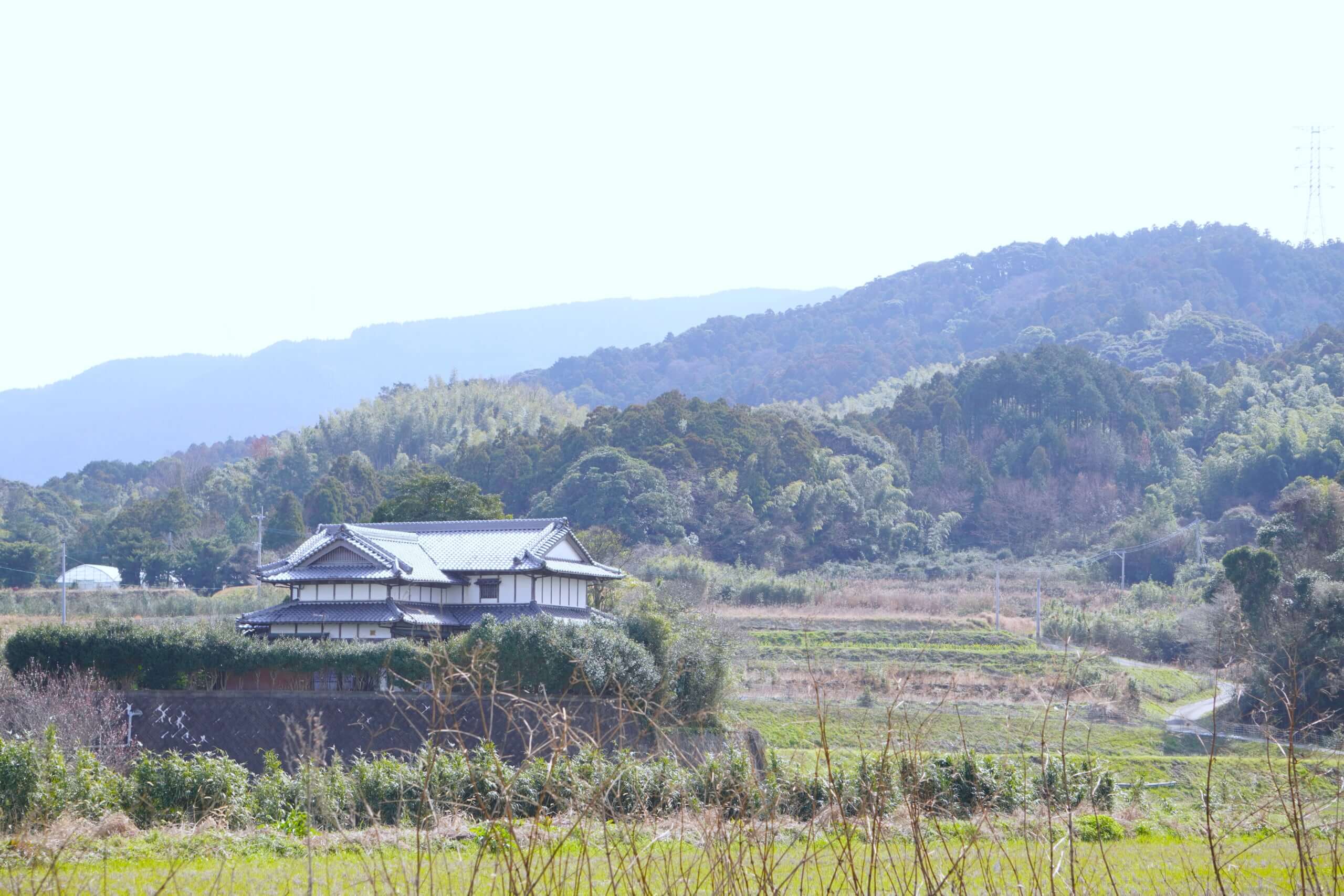 DSC012521-scaled.jpg