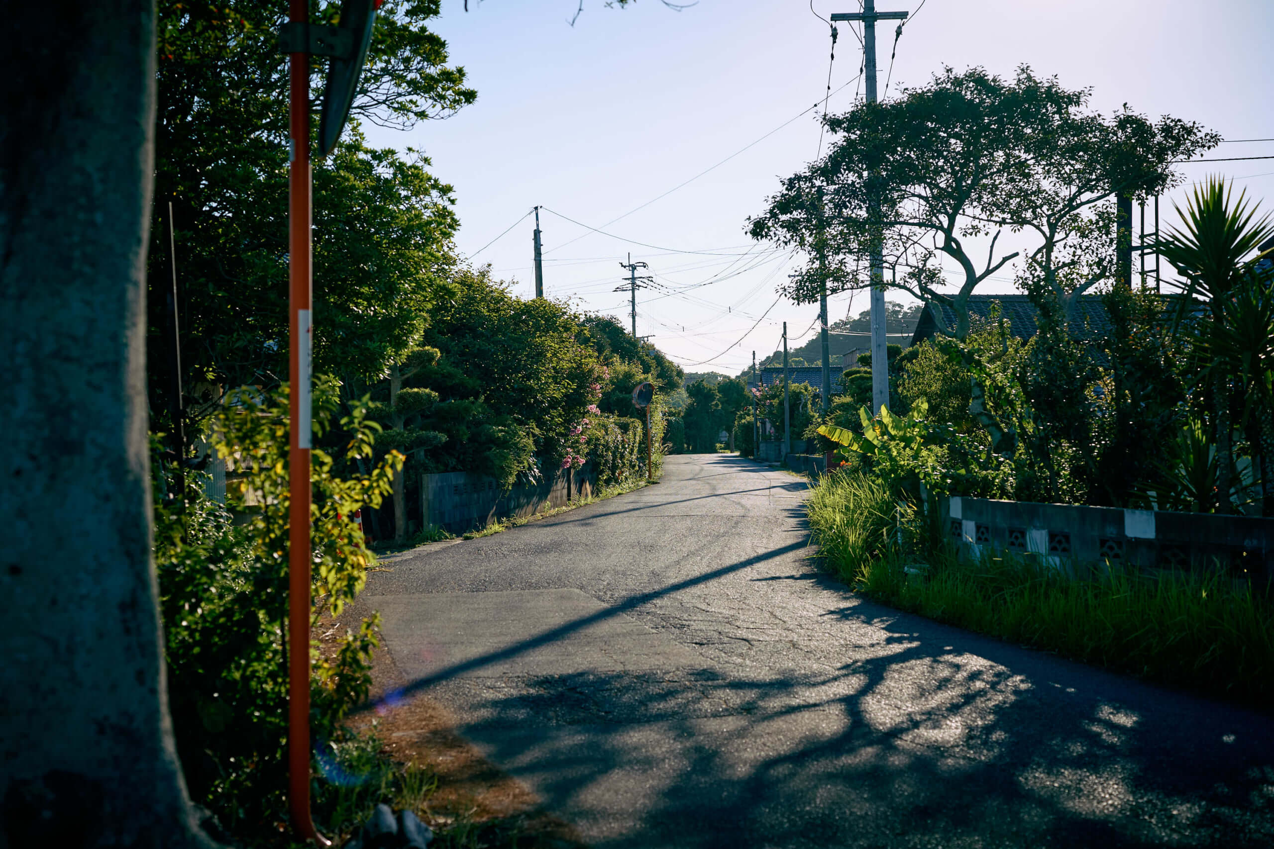 物件周辺の住宅地に続く静かな道路。緑に囲まれたアプローチの様子
